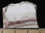 Bargain Bin E Slab 269