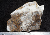Sheep Creek Plume Agate Rock Slab 190