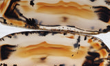 Montana Agate Rock Slab 214