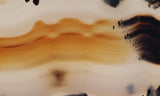 Montana Agate Rock Slab 214