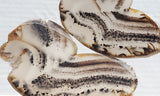 Montana Agate Rock Slab 217