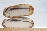 Montana Agate Rock Slab 215
