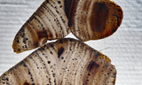 Montana Agate Rock Slab 221