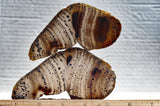 Montana Agate Rock Slab 221