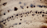 Montana Agate Rock Slab 221