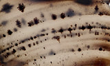Montana Agate Rock Slab 221