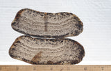 Montana Agate Rock Slab 222