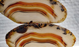 Montana Agate Rock Slab 216