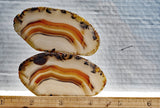 Montana Agate Rock Slab 216