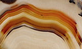 Montana Agate Rock Slab 216