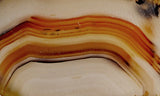Montana Agate Rock Slab 216