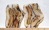 Montana Agate Rock Slab 224