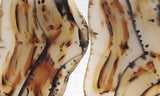 Montana Agate Rock Slab 224
