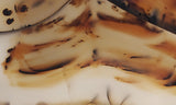 Montana Agate Rock Slab 224