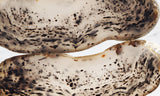 Montana Agate Rock Slab 218