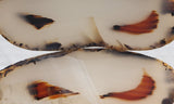 Montana Agate Rock Slab 225