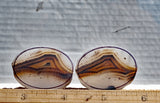 Montana Agate Rock Slab 219