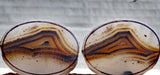 Montana Agate Rock Slab 219