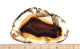 Montana Agate Rock Slab 199