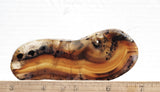 Montana Agate Rock Slab 242