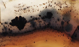 Montana Agate Rock Slab 242