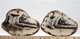 Montana Agate Rock Slab 213