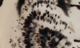 Montana Agate Rock Slab 213