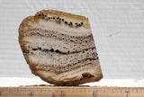 Montana Agate Rock Slab 248