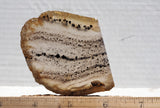 Montana Agate Rock Slab 248