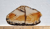 Montana Agate Rock Slab 212