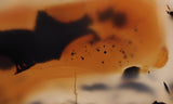 Montana Agate Rock Slab 239