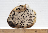 Montana Agate Rock Slab 167