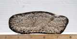 Montana Agate Rock Slab 160