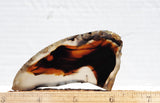 Montana Agate Rock Slab 176