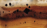 Montana Agate Rock Slab 241