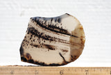 Montana Agate Rock Slab 153