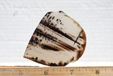 Montana Agate Rock Slab 237