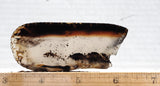 Montana Agate Rock Slab 246