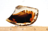 Montana Agate Rock Slab 249