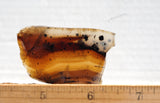Montana Agate Rock Slab 225