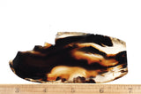 Montana Agate Rock Slab 235