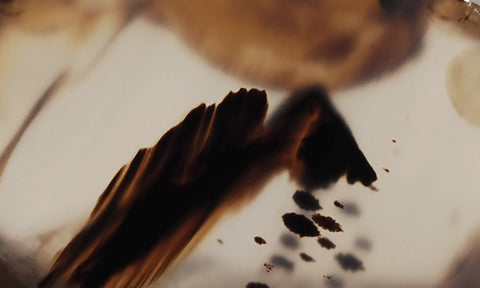 Bargain Bin C Slab 880