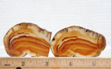 Rock Slab Sets S185