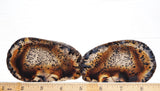 Rock Slab Sets S178