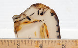 Bargain Bin F Slab 244