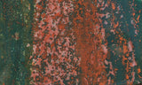 Bloodstone Rock Slab 175