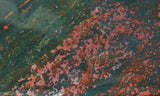 Bloodstone Rock Slab 179