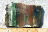 Bloodstone Rock Slab 173