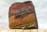 Bloodstone Rock Slab 166