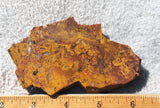Bargain Bin F Slab 222